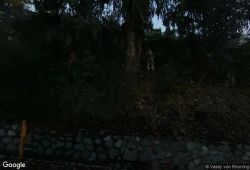 Vista de calle