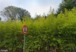 Vista de calle